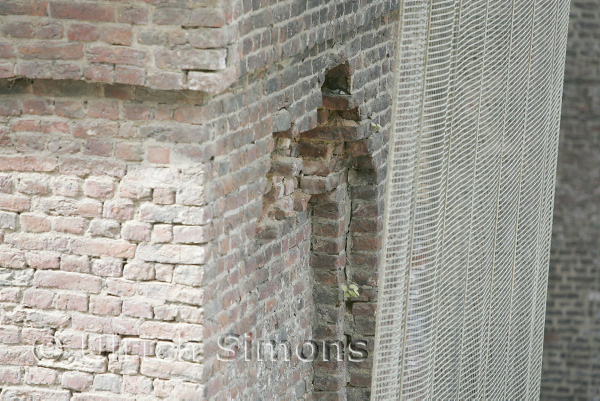 sim_buschtunnel_20060901_18