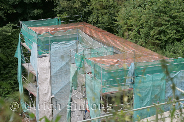 sim_buschtunnel_20100801_01