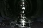 sim_buschtunnel_20100617_03